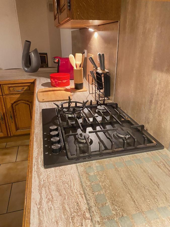 Appartement « Chez Falco » Vue Sur Le Chateau Schirmeck Eksteriør bilde
