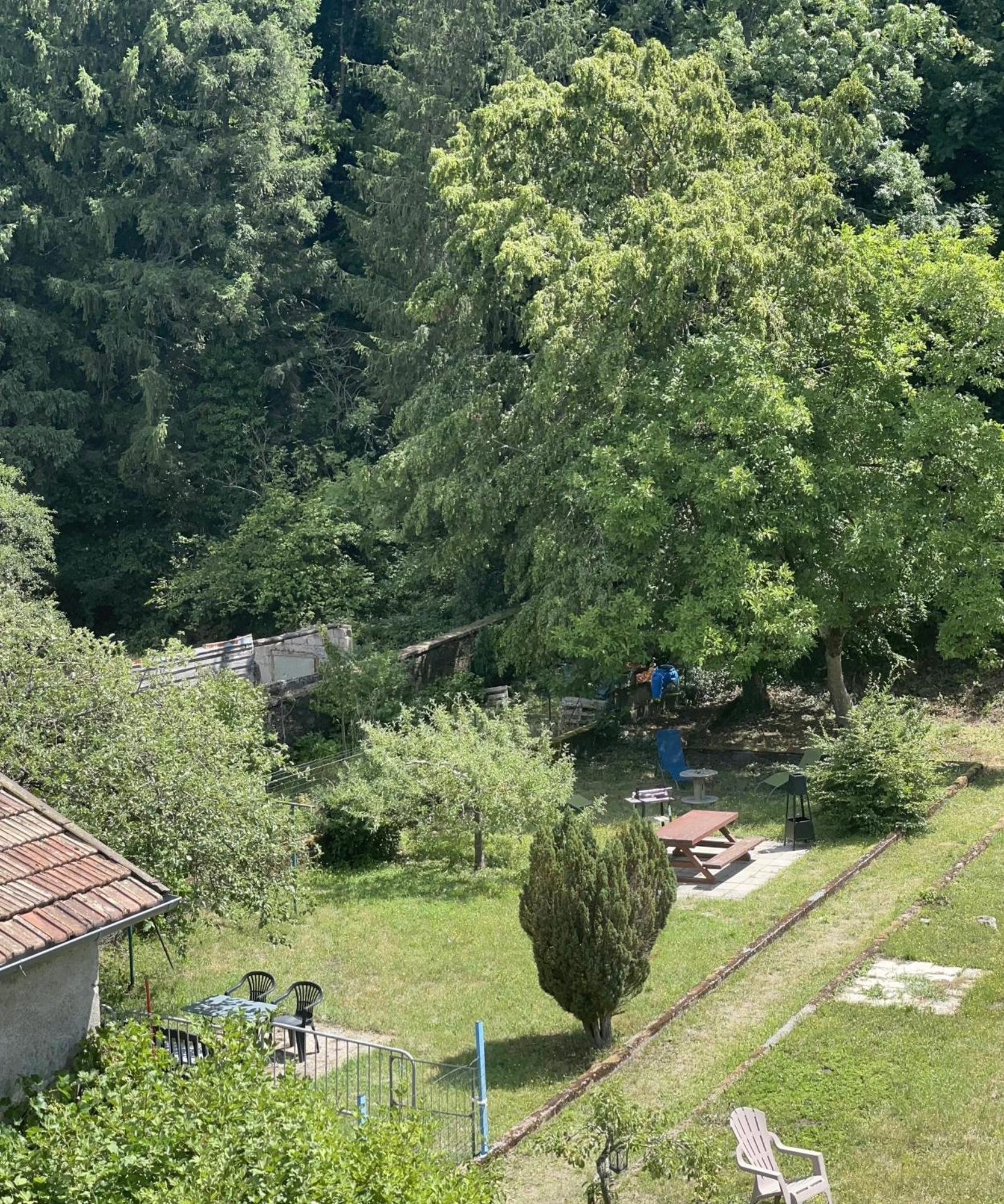 Appartement « Chez Falco » Vue Sur Le Chateau Schirmeck Eksteriør bilde